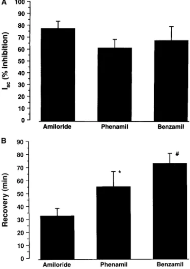 Figure 4. (A) Effect of amiloride and analogs, phenamil and ben- ben-zamil (all 10 24  M), on inhibition of the short circuit current (% of original) of primary culture of normal human respiratory  epithe-lium (n 5 5 in each group), indicating efficacy of 