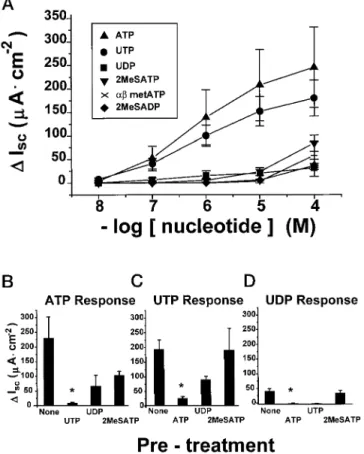 FIG. 1. Mouse tracheas: wild type (P2Y 2 -R( 1/1)). A, I sc dose