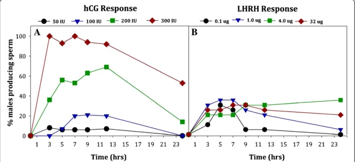 Figure 1 Percentage of male Anaxyrus americanus producing sperm over 24 hrs after hormone administration with either hCG (Panel A; n = 16/trt) or LHRH (Panel B; n = 20/trt)