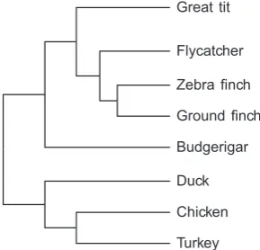 FIG(Hackett et al. 2008. 1.—Phylogenetic relationship of great tit and seven bird species).