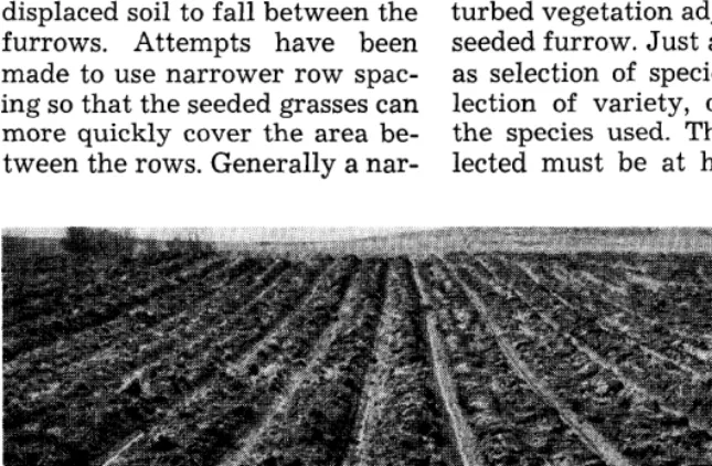 FIGURE 4. Proper type of furrow made with range interseeder. 