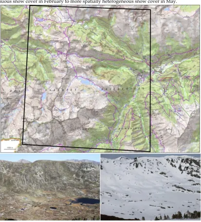 Figure  black polygon indicates the outline of the Pléaides acquisition (source: IGN/SCAN25, www.geoportail.gouv.fr)