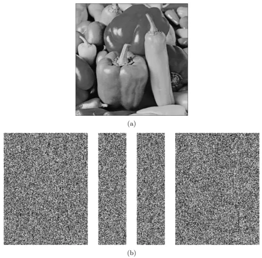Figure 6: Secret Image S (a) and Shadow Images S 1 of size 196 × 256, S 2 of size 64 × 256, S 3 of size