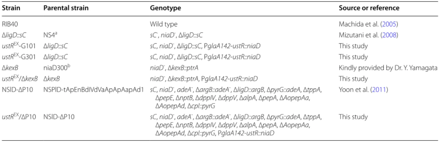 Table 1  Strains used in this study