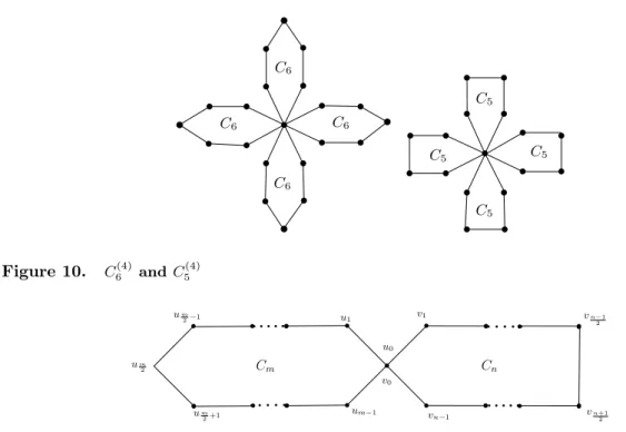 Figure 11. An even cycle C m and an odd cycle C n merged at a vertex