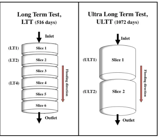 Figure 1. Schematic drawings of how the two cores were cut after the flooding experiment: Long Term Test (LTT) to the left (modified from Zimmermann et al