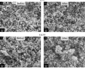 Figure 3. (a) SEM-micrograph of unflooded chalk from the end-piece of the LTT-core (from Zimmermann et al