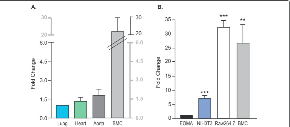 Figure 2 Emilin2Expression of mRNA Expression in Tissues and Mouse Cells. GAPDH from the same cDNA samples used as endogenous control