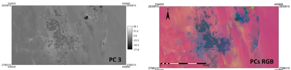 Figure 4. PC images derived from six reflective spectral bands of a subset of Landsa-7 ETM+ image, along with the colour  composite RBG of the three PCs
