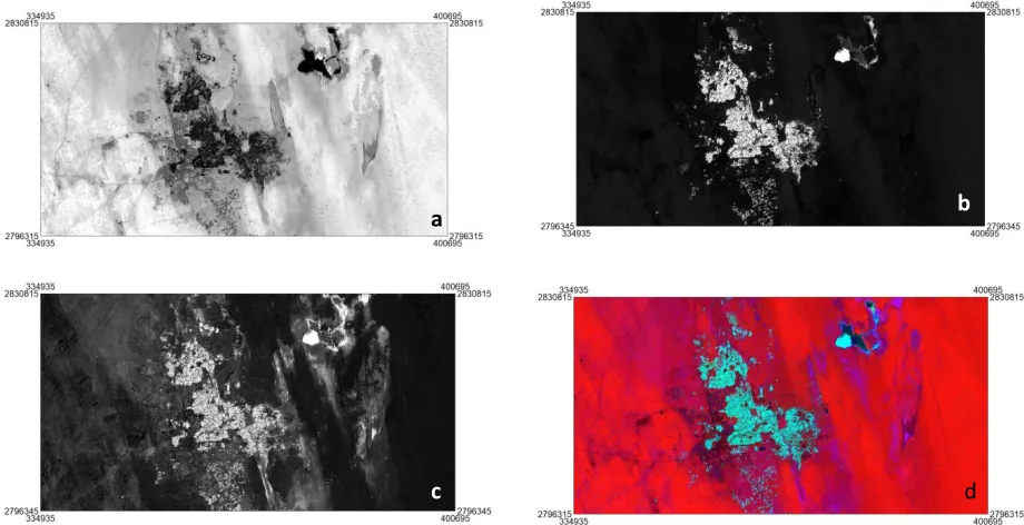 Figure 5. Difference images  and colour composite image of subset of a Landsat-7 ETM+ image: a) b3-b1 displayed in red  colour, shows iron oxides; b) b4-b3 displayed in greed, detecting vegetation features; c) b5-b7 displayed in blue, shows the clay miner 