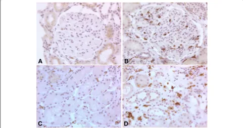 Fig.3a