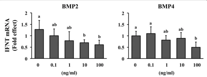 Figure 3 Effect of BMP2 and BMP4 supplementation on IFNT mRNA abundance in CT1 cells. Cells were supplemented with various concentrations of BMP2 (left panel) or BMP4 (right panel) for 24 h, then RNA was extracted and qRT-PCR was completed