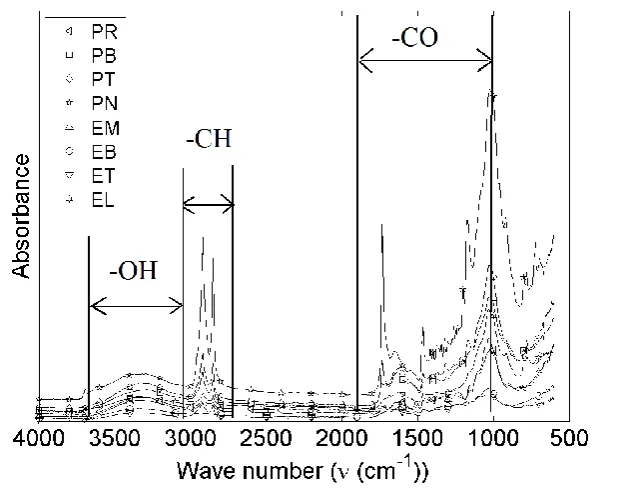 Fig. 4 shows the rate of mass loss as a function of temperature for both pine and eucalyptus forest litter materials and timber