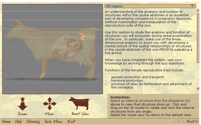 Figure 1. Screen grab of the three-dimensional animation of the relevant anatomy, with menu options for the glossary and formative quizzes at the bottom of the frame