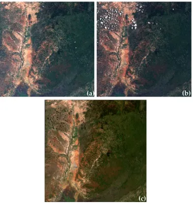 Figure 1. (2016 composite based on darkest pixel selection. © Contains modified Copernicus Sentinel data (2016) / Processed by ESA.a) S2A image acquired on 04/02/2016; (b) S2A image acquired on 14/02/2016; (c) 1st Quarter  