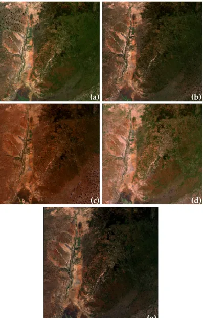 Figure 2. (a) Darkest pixel composite for 1st Quarter 2016; (b) Darkest pixel composite for 2nd Quarter 2016; (c) Darkest pixel composite for 3rd Quarter 2016; (d) Darkest pixel composite for 4th Quarter 2016; (e) Yearly composite based on Max-NDVI