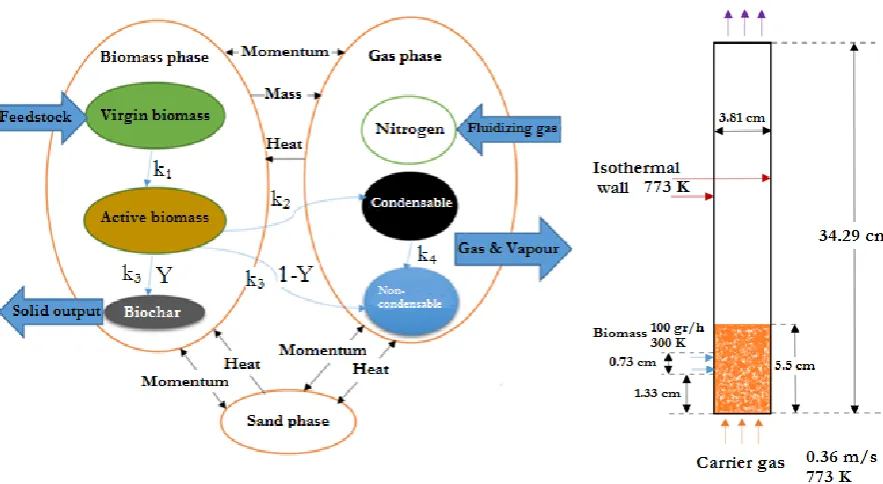 Figure 2. Schematic geometry of 2-D model of bubbling 