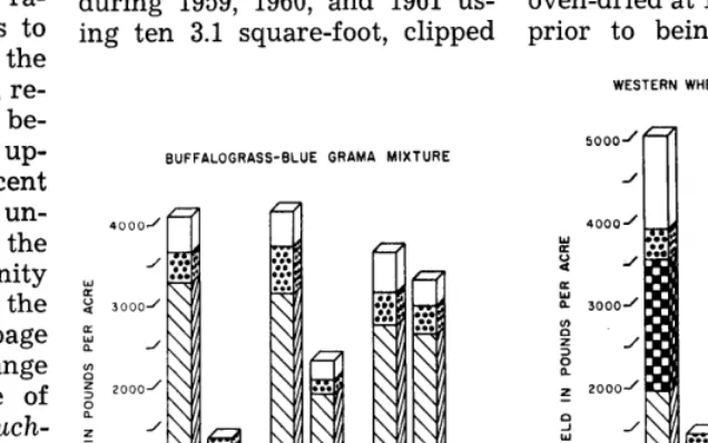 FIGURE 1. Vegetation 