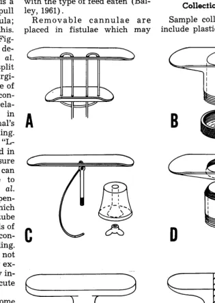 FIGURE 3. Schematic illustration of various types geal fistulae in cattle and sheep (see text)