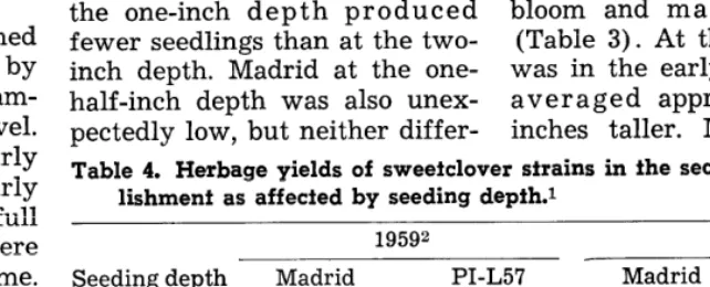Table 3. Height of sweefclover plants from 1958 seeding as affected by strain differences and seeding depths.1 