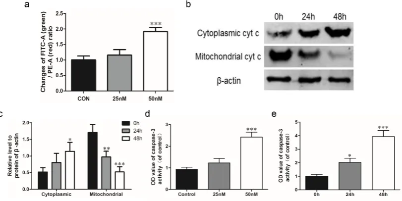 Figure 2. (< 0.05, **expression of cytoplasmic and mitochondrial cytochrome c detected by western blot; (quantitative analysis of western blot; (concentration; (a) Statistical analysis of intracellular MMP level detected by FCM; (b) Protein c) Semi-d) Casp