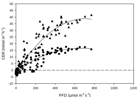 Figure 6. Relationship between photosynthetic flux density (PFD) and CER for plants grown under early autumn COconditions at ambient CO2 (, R2 = 0.886) and elevated 2 (, R2 = 0.914)