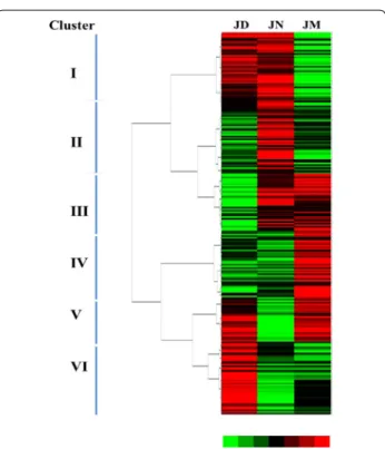 Fig. 4  Heat map of the genera in JD, JN and JM ham. The heat map  plot depicts the relative percentage of each genus (variables  cluster-ing on the Y-axis) within each sample (X-axis clustercluster-ing)