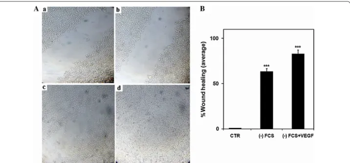 Fig. 6  Cell migration in response to VEGF 165 . A a The free untreated cell area at T0 h