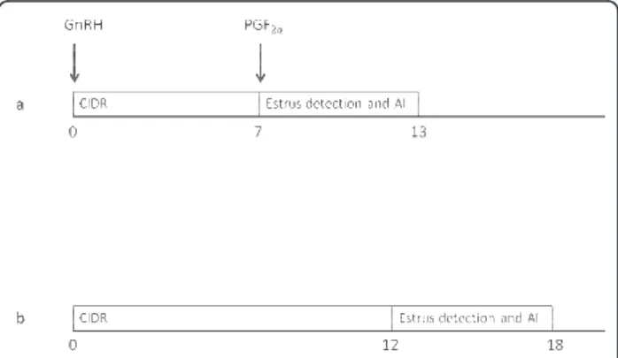Figure 1 Schematic representation of the 2 synchronization protocols. Cows in the CIDR-Select Synch group received a CIDR insert (CIDR; Eazi-Breed CIDR ® cattle insert, Pfizer Animal Health, Zurich, Switzerland) and 10 μg of buserelin i.m
