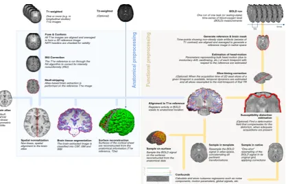 Figure 3. The fmriprep workﬂow chart. In the left side, it is used for preprocessing anatomic MRI data,e.g