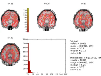 Figure 6. The basic f(MRI) plotting with Pymvpa