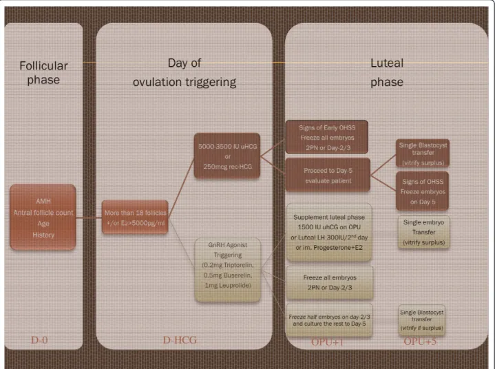 Figure 1 New proposed algorithm for OHSS prevention and treatment. The upper pathway (traditional) applies to both the GnRH agonist and GnRH antagonist protocol