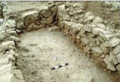 Figure 2. B800: Late Minoan IIIC Building from the south.