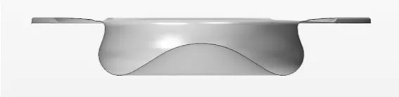 Figure 1. Re-entrant bowl design 