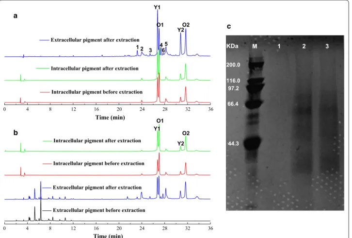 Fig. 5  Pigment variation and protein secretion in nonionic surfactant aqueous solutions from mature cells and fermentation broth
