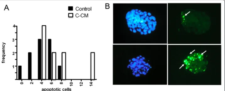 Figure 2 Hoechst and TUNEL staining of blastocysts not capable of zona pellucida (ZP) hatching