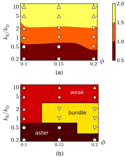 FIG. 6. (Color online) Effective MSD exponent ak20measured from the decay of velocity autocorrelationssquared displacements (ﬁlled symbols) versus(Inset) Data plotted against the same E =k for the mean- kM, for φ = 0.15, kA =D, and the kE given in the lege