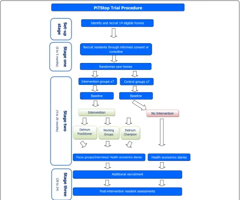 Figure 2 Flowchart of the PiTStop trial procedure.