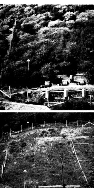 FIGURE 1. Cover converted from brush to grass; before conversion, above; after con- version but before forbs were permitted to develop, below