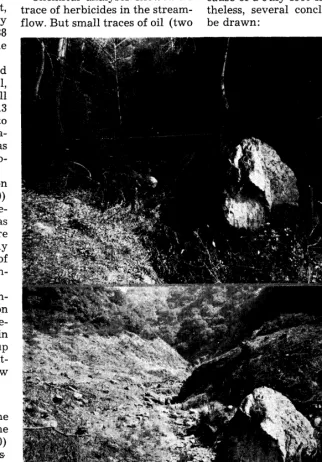 FIGURE 3. Part of the treated canyon bottom in Monroe Canyon; 