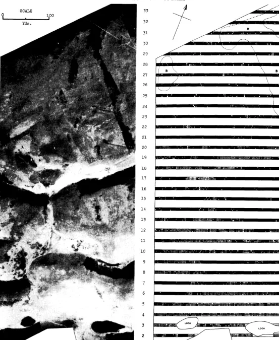FIGURE 1. Aerial photograph (Royal Air Force Photograph, British Crown Copyright reserved) of experimental plot and vegetation “point” map of same area constructed with two-pronged sampling technique