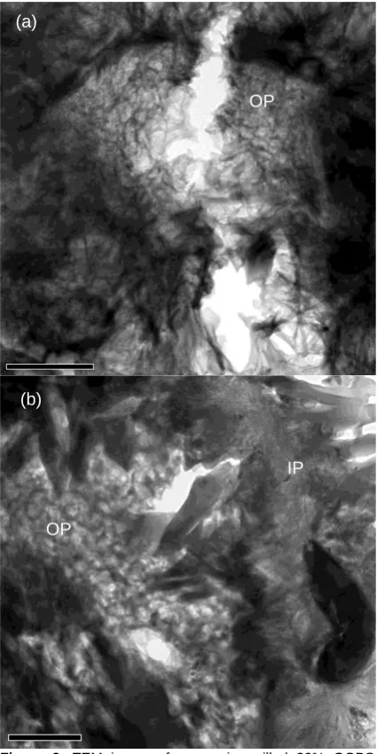 Figure 3. TEM images from an ion-milled 30% GGBS sample cured for 72 hours before being exposed to (a) 4 days at 72.6% RH, 0% [CO2]; (b) 4 days at 72.6% RH, ambient [CO2]  