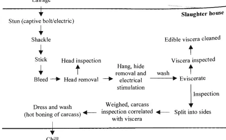 Figure 1.2 A flow diagram of the stages in the slaughter of pigs (adapted from Anonymous, I993 