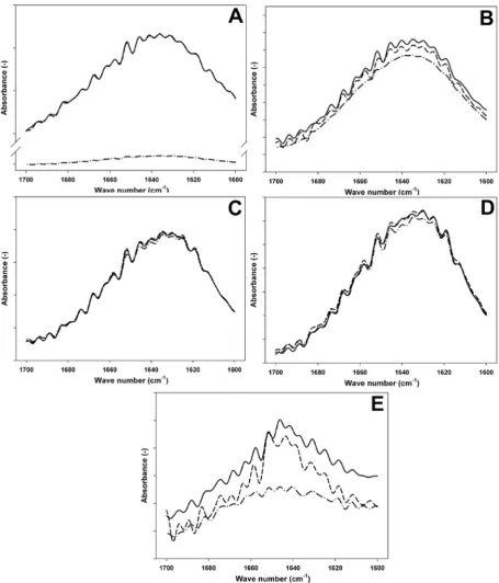 Fig. 1. FTIR spectra of protein/protein mixtures containing (A) IgG, (B) BLG and ALA, (C) BLG, ALA and IgG, (D) BLG, ALA, IgG and BSA, and (E) native whey at their natural con-centrations in raw milk subjected to heat treatment at 72 �C (—) or 100 �C (e$e)