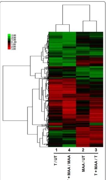 Figure 3 Top network affected by MAA. This network was identified by Ingenuity Pathway Analysis, and involves cell death, cellular development and cell-to-cell signaling and interaction