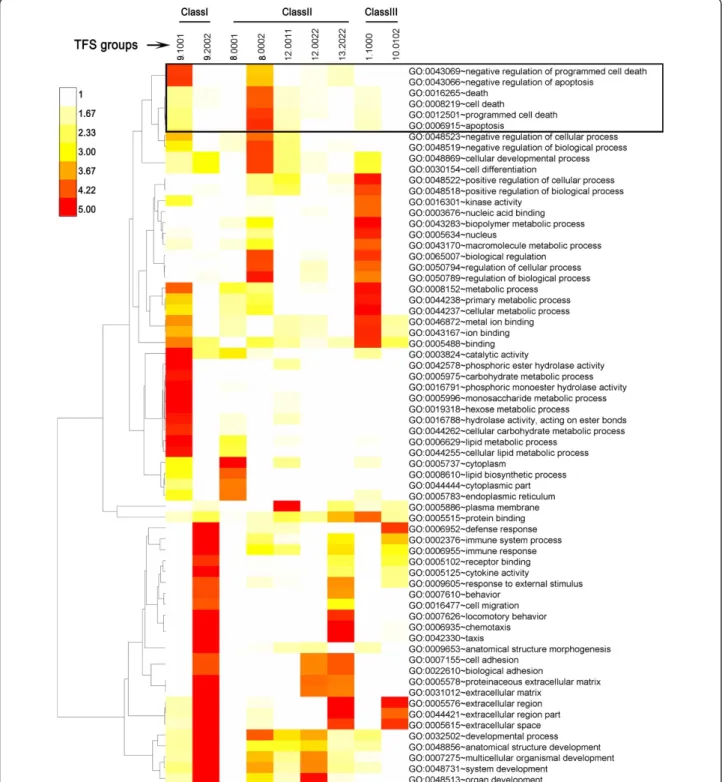 Figure 5 GO term enriched in TFS groups. Shown is a hierarchical clustering of GO terms that were significantly enriched (p < 0.0001, and number of included genes >10) in at least one TFS group