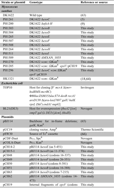 Table 1.  Strains and plasmids used in this study. 