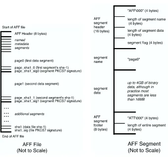 Figure 3.AFF segment schematic.