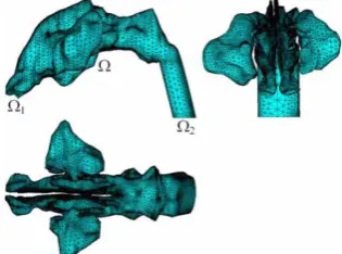 Figure 1. Three-dimensional reconstruction model of the nasal cavity. 