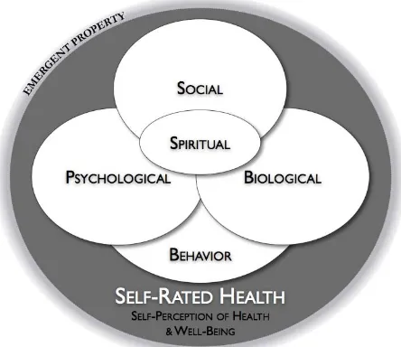 Figure 1. Global health as assessed by self-rated health (SRH) incorporates several health domains that dynamically and bi-directionally interact